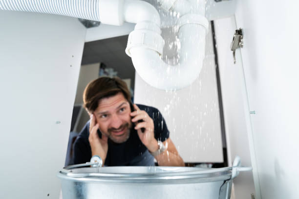 Best Commercial Plumbing Services  in Wayne, IL