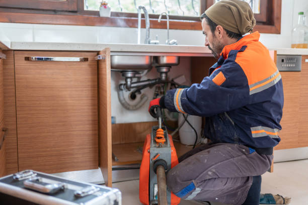 Best Local Plumber Services  in Wayne, IL